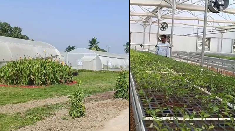 Agriculture News: Horticulture department takes initiative to produce sapple using high technology | Sangbad Pratidin