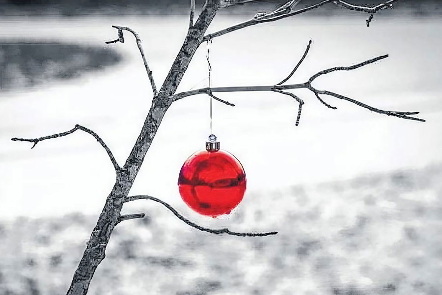 Lookback 2023: ere is how Ranjan Bandyopadhyay explores Christmas | Sangbad Pratidin
