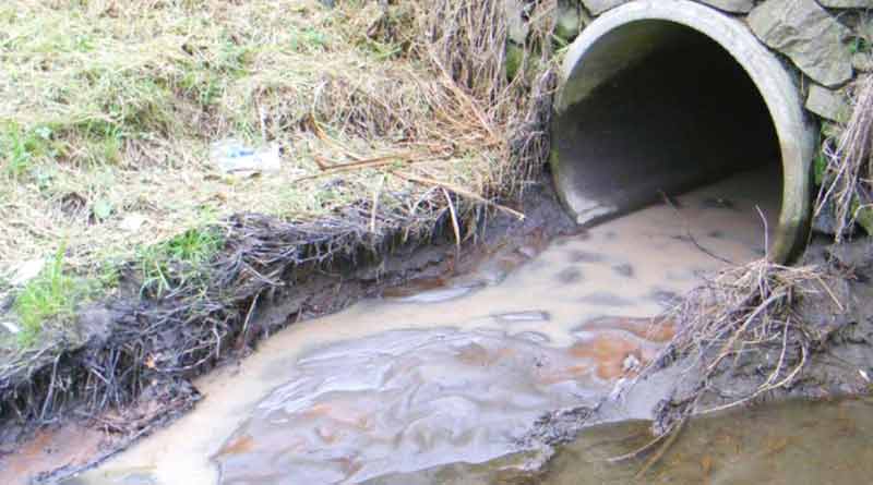 Kharagpur IIT comes to the help of KMC in cleaning drain water | Sangbad Pratidin