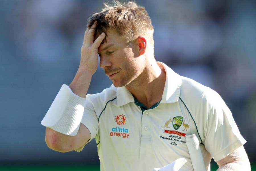 David Warner faces problem while travelling in Air India flight