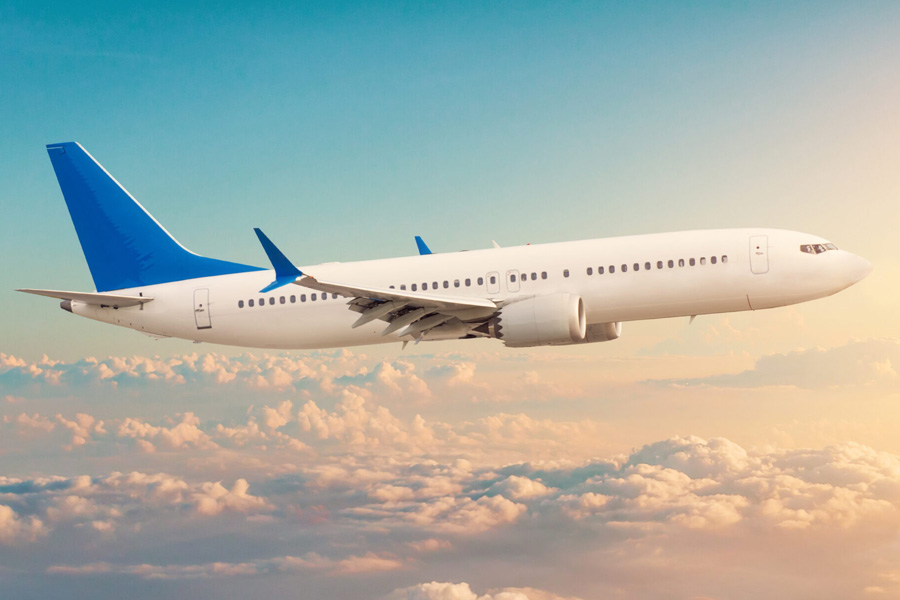 16 year old attacked relative in flight, Canada plane diverted | Sangbad Pratidin