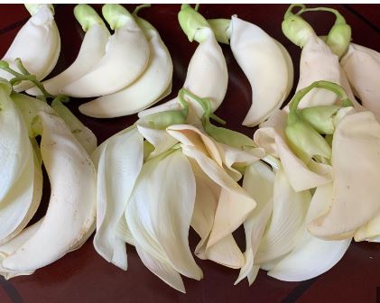 Bok Phool