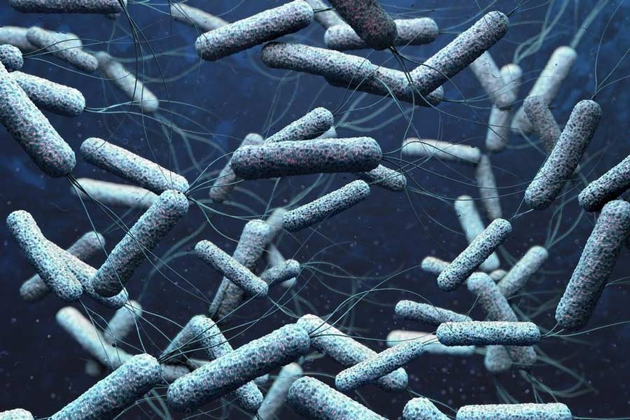 Cholera infected found in Baguiati