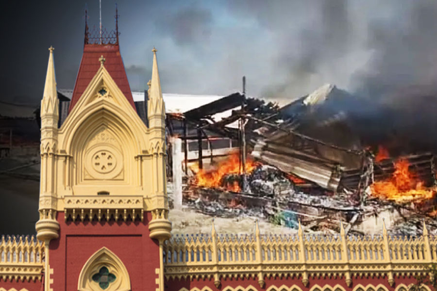 Sandeshkhali Case: Calcutta HC rebukes WB Govt and says '100% responsibility' if the 'safety of a citizen is under threat'