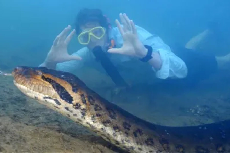 World's largest snake found dead in Amazon