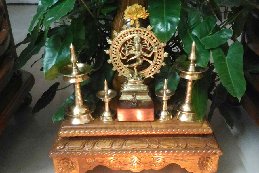 Natraj-at-home