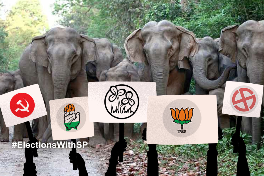 2024 Lok Sabha Election: Jumbo scare as parties launch poll campaign at Siliguri