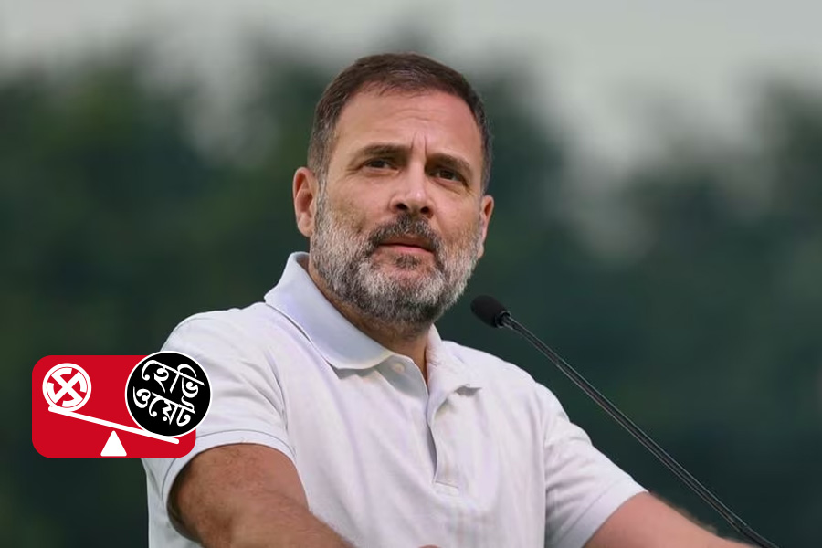 Rahul Gandhi in Wayanad, Congress finalises 60 candidates for Lok Sabha 2024