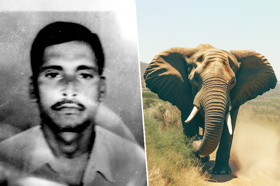 Forest guard died by elephant attack during work in Buxa Tiger Reserve Fortest
