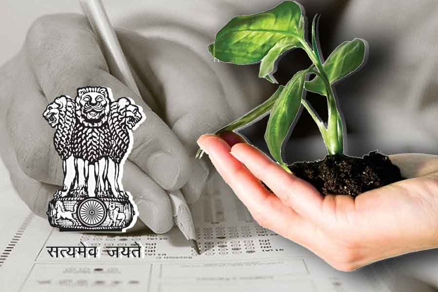 Future scope in Botany, here is what to know