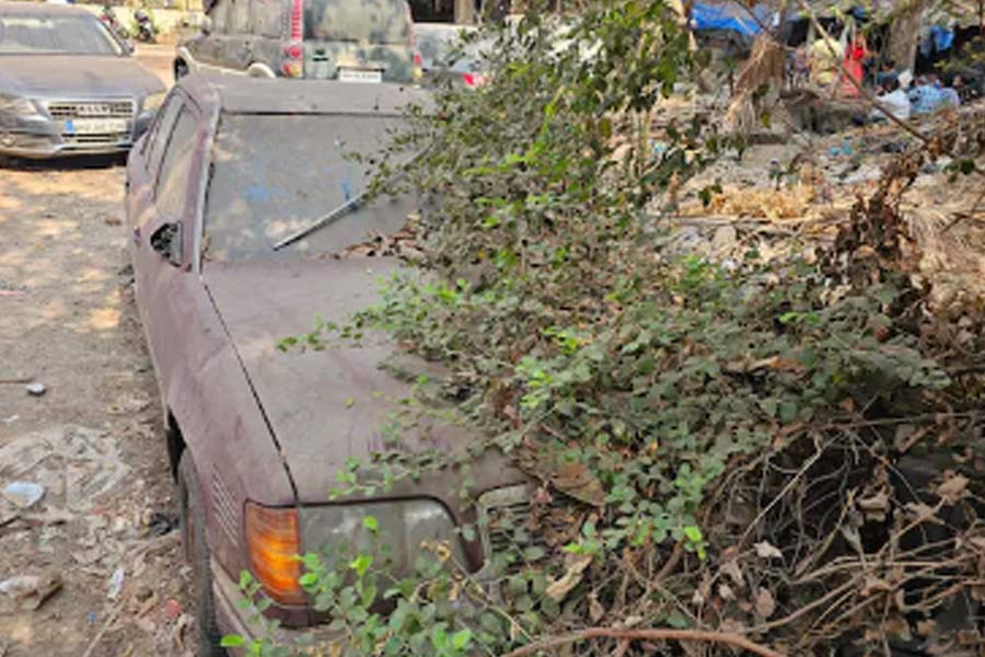 2 Mumbai children, missing forhours, found dead in locked car