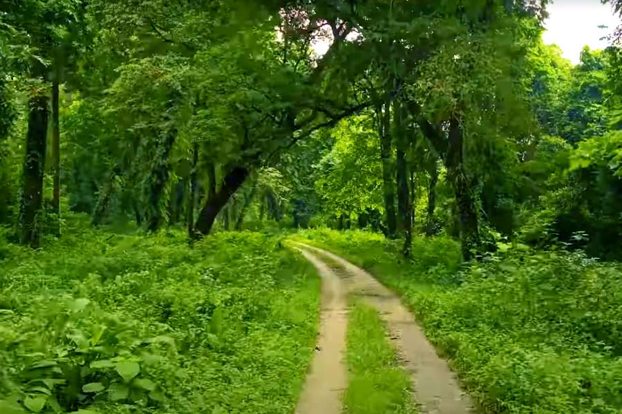 This Summer take a tour of Chapramari