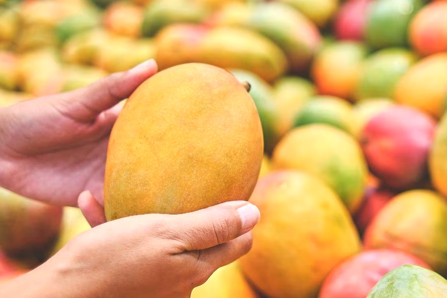FSSAI issued an important alert about artificial ripening of fruits using Calcium Carbide