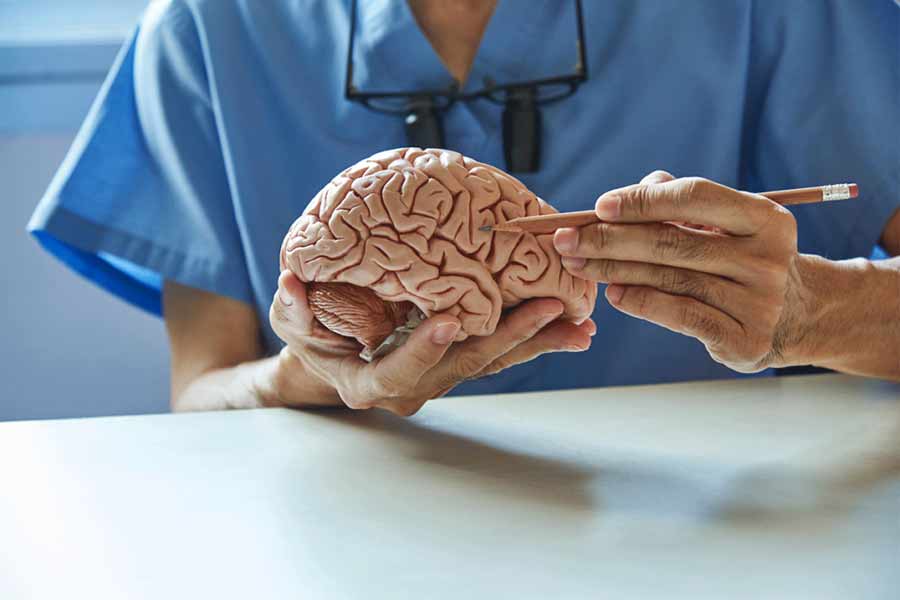 Career opportunities after studying psychology