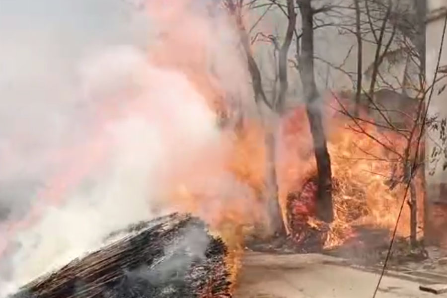 12 houses burnt in Kalyani after fire broke out due to short circuit