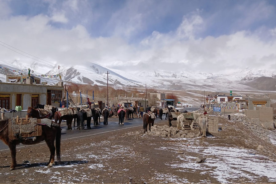Chinese invasion, Shepherd khows the situation of Ladakh