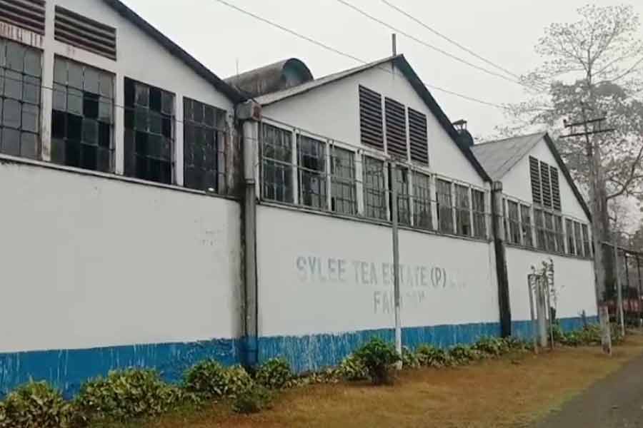 Malbazar tea garden will be reopened on the day of Mamata Banerjee's meeting