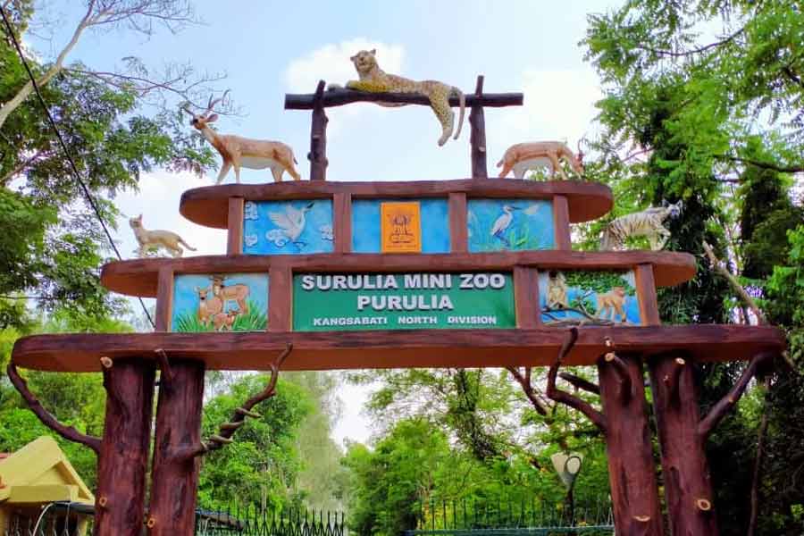Special arrangements in Purulia zoo to prevent heat