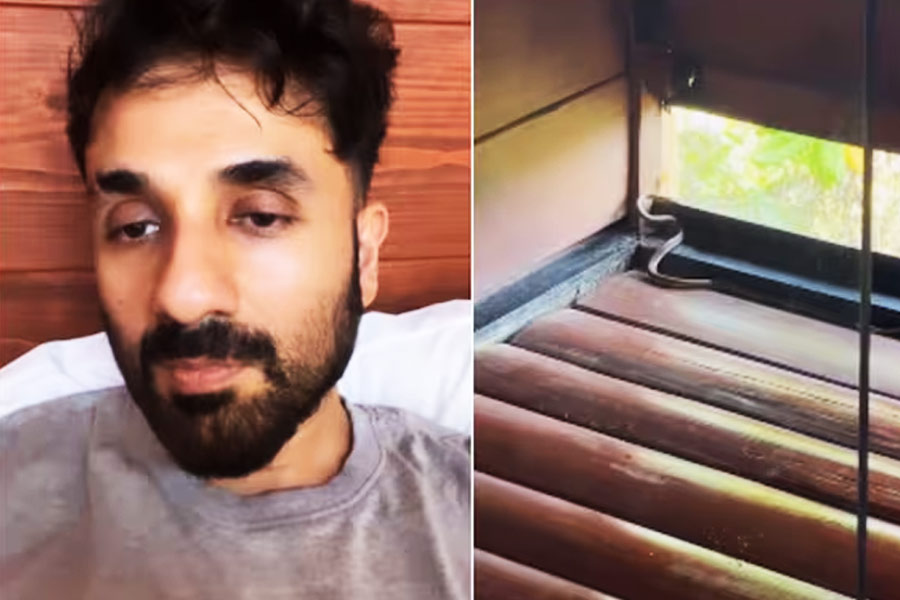 Vir Das encounters snake in resort loo, Watch video