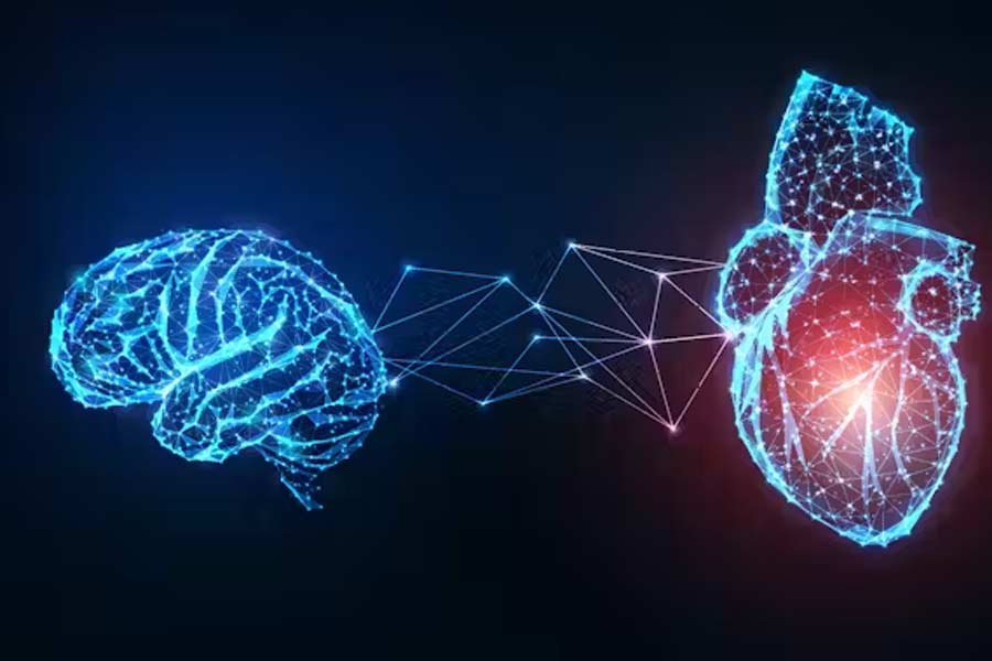 All human decisions are heart driven, says expert