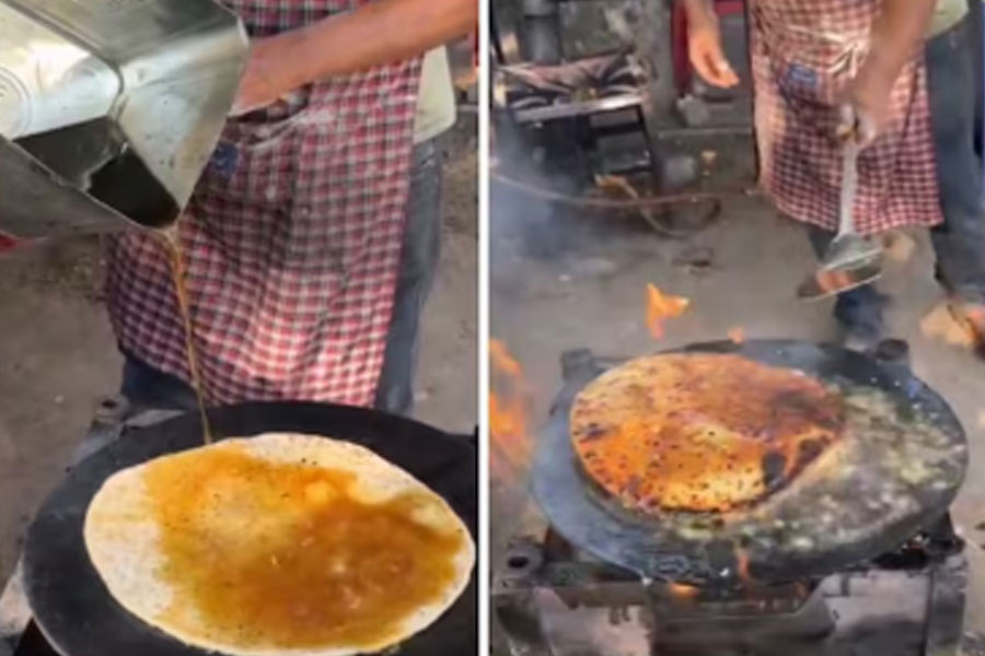 Chandigarh dhaba denies 'diesel paratha' claims
