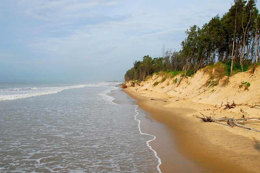 Development taking toll on Digha environment