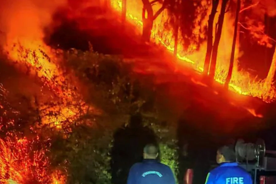 Why is forest staff employed on poll duty? Supreme Court on Uttarakhand fires