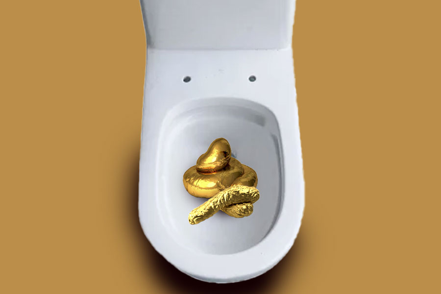 Unusual jobs company will pay Rs 1.4 crore for your poop