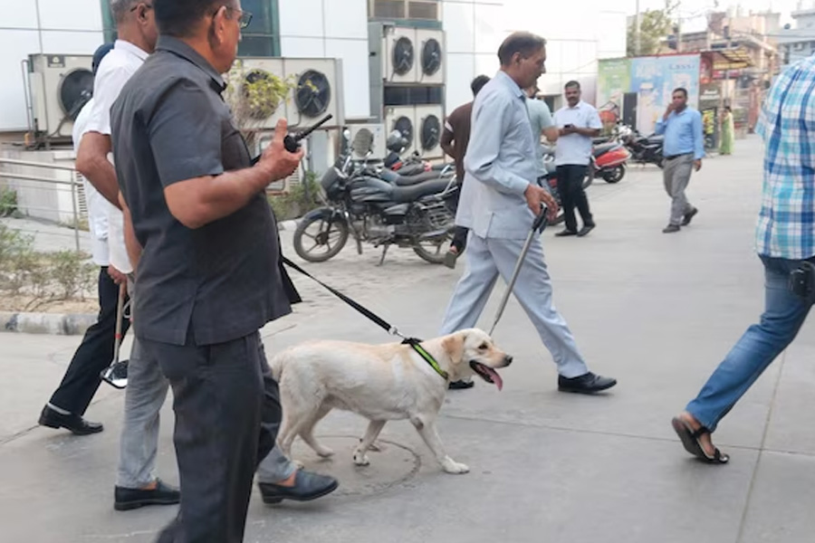 Bomb threat at 4 Jaipur schools, children sent home