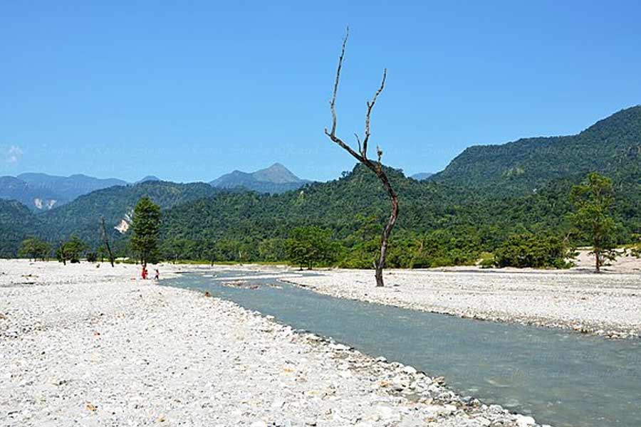 Jayanti Mahakal jungle safari reopened for all tourist