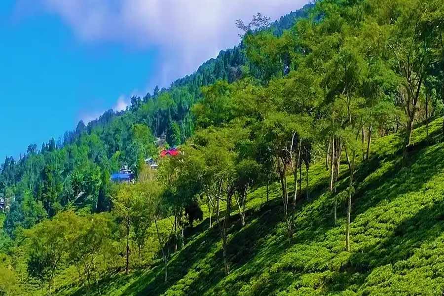 Rangaroon Travel
