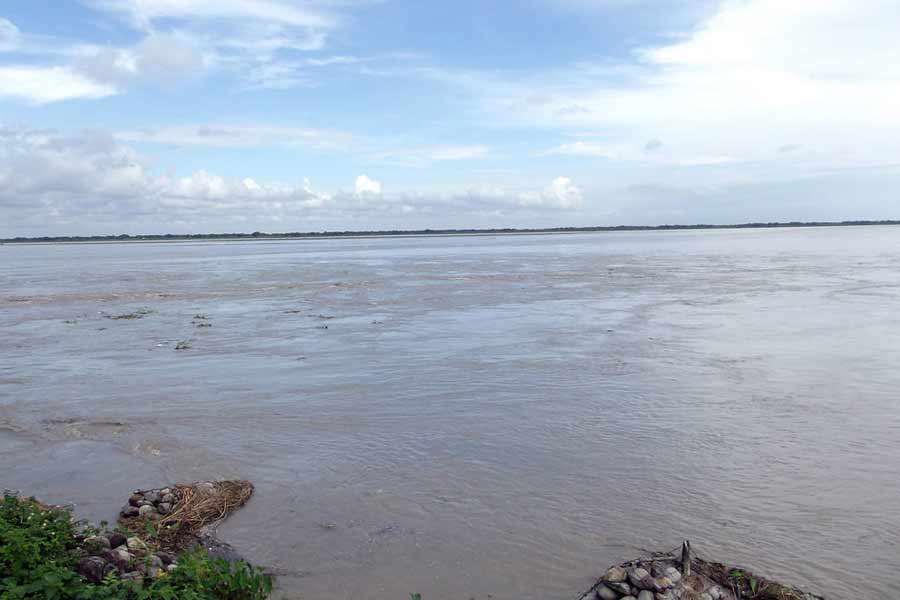 Nuts damage due to cyclone Remal