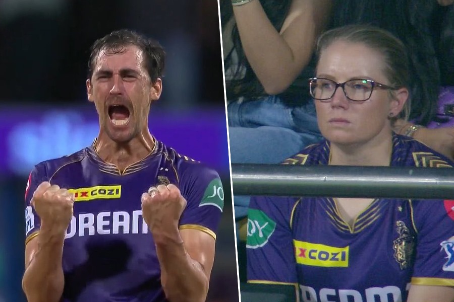 lady luck bears fruit for KKR star Mitchell Starc