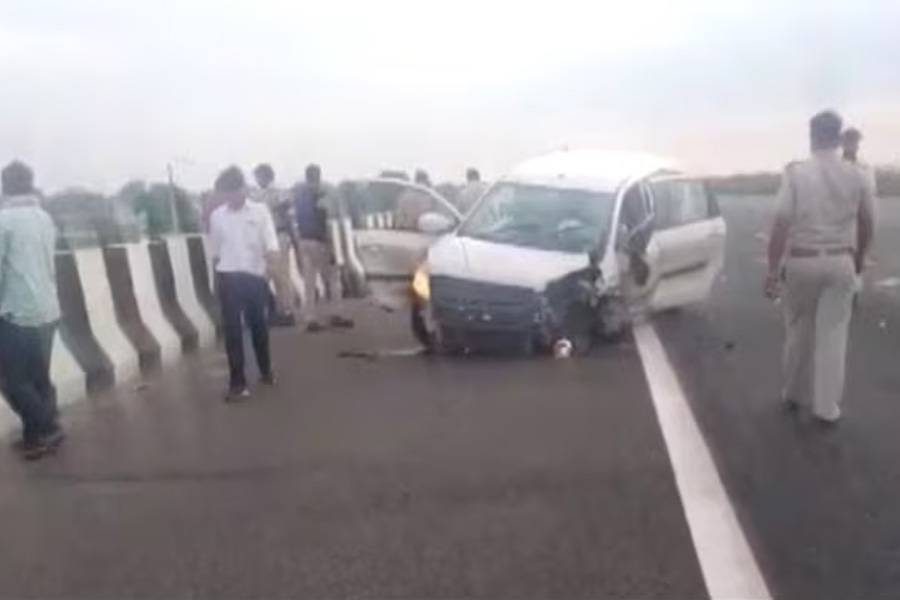 3 died in Rajasthan accident while trying to save cow