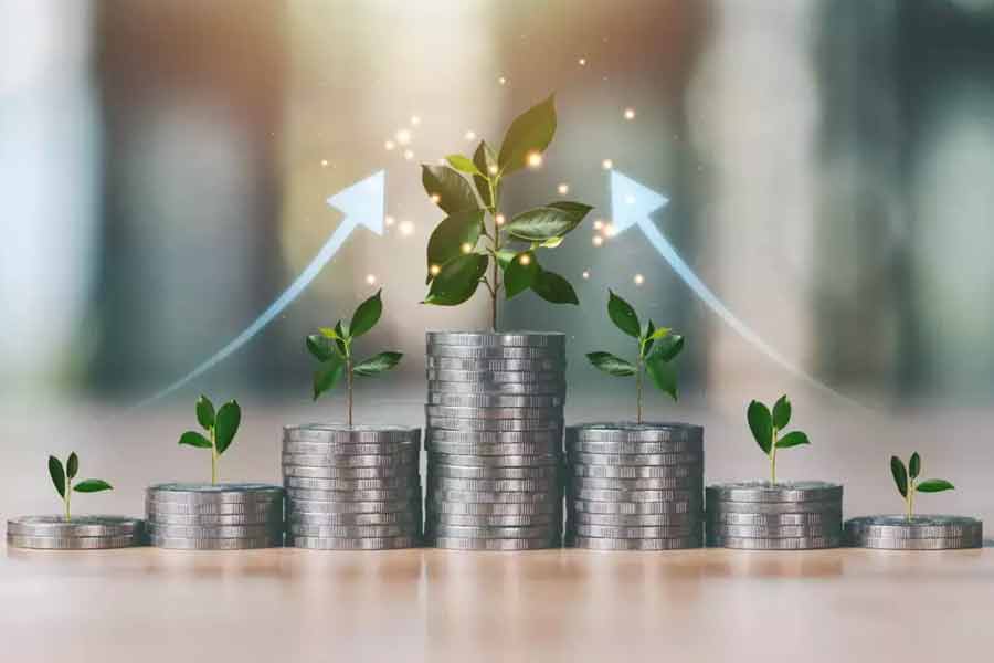 Things to know about large cap investment