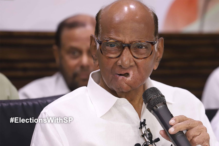Lok Sabha Election 2024: PM Narendra Modi's confidence has wavered Sharad Pawar said MVA is winning 50 percent seats