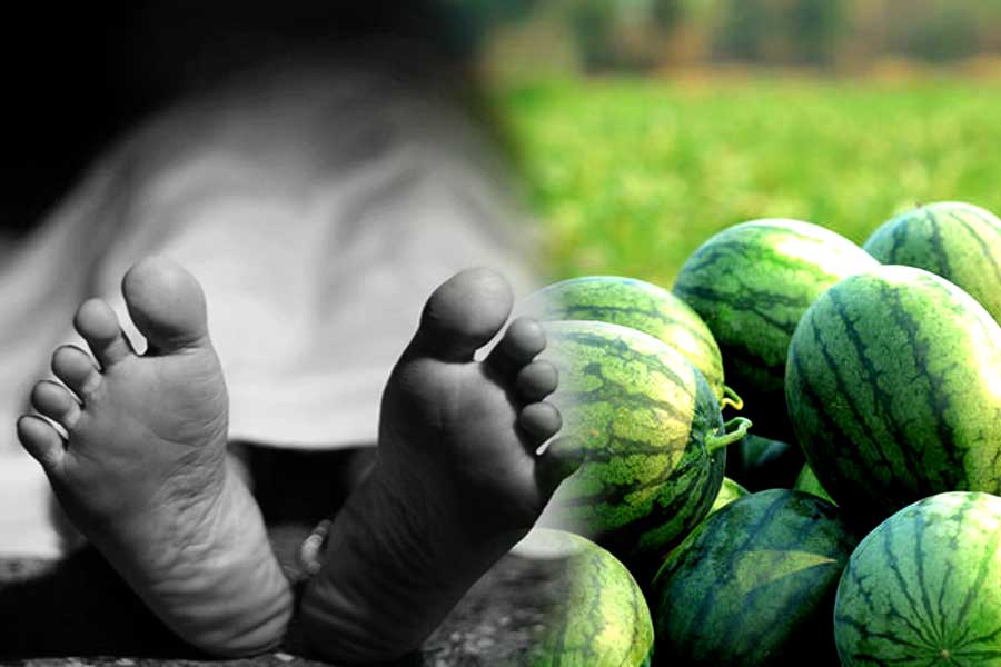 4 year old girl allegedly killed for 'plucking watermelon in Agra