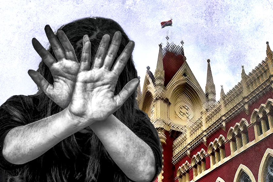 Calcutta HC orders Sunderbans SP to provide security to the victim who got physically assaulted by elder brother