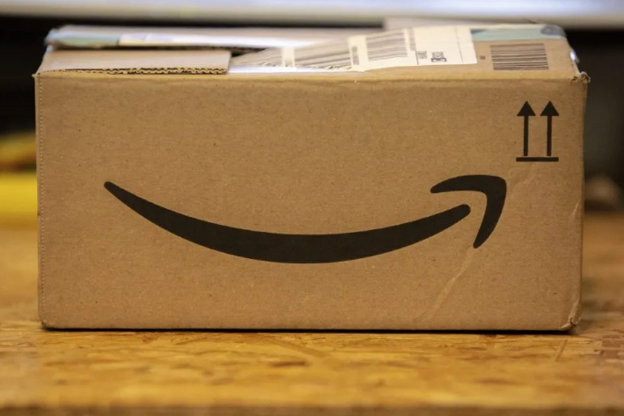 Bengaluru woman finds live cobra in Amazon package