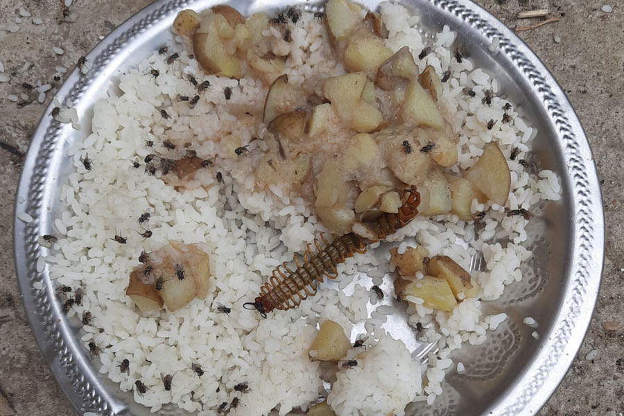 Parents protest at school after insect found in mid day meal in Bankura