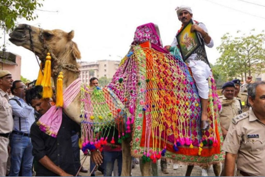 Rajkumar Roat arrives at Parliament on a camel to take oath as an MP
