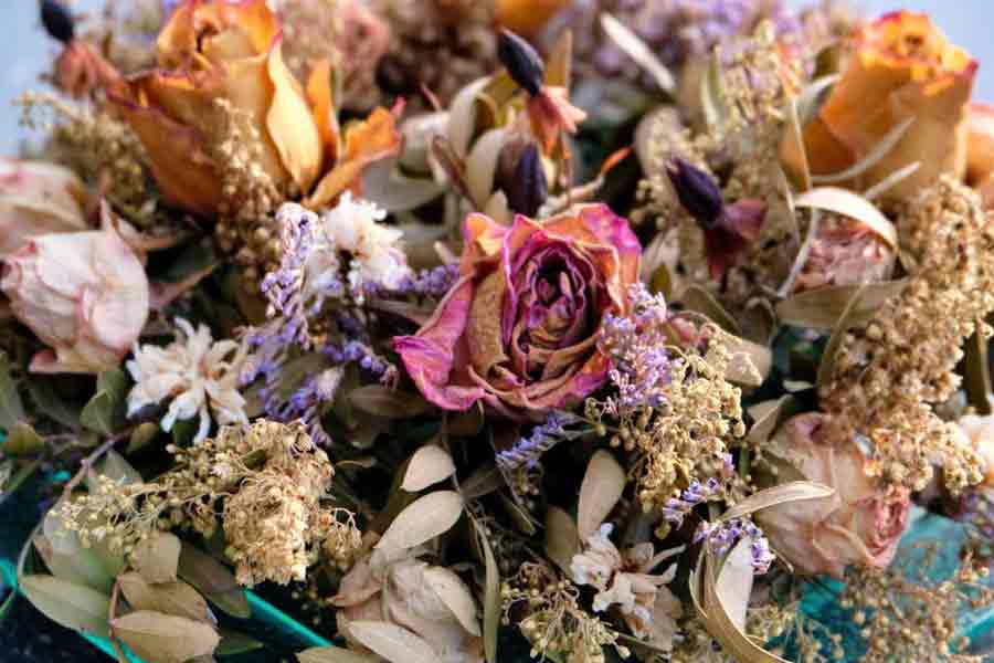 Dry flowers may gives you profit