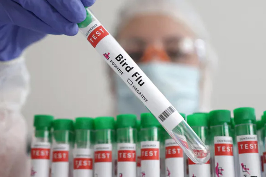 WHO confirms world's first human bird flu death