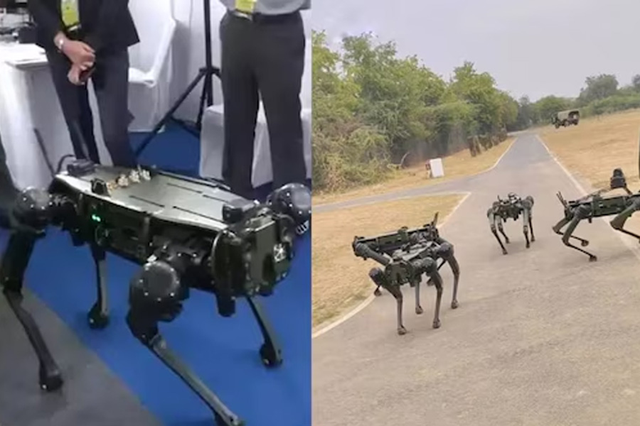 Indian Army set to induct 25 remote-controlled robotic dogs