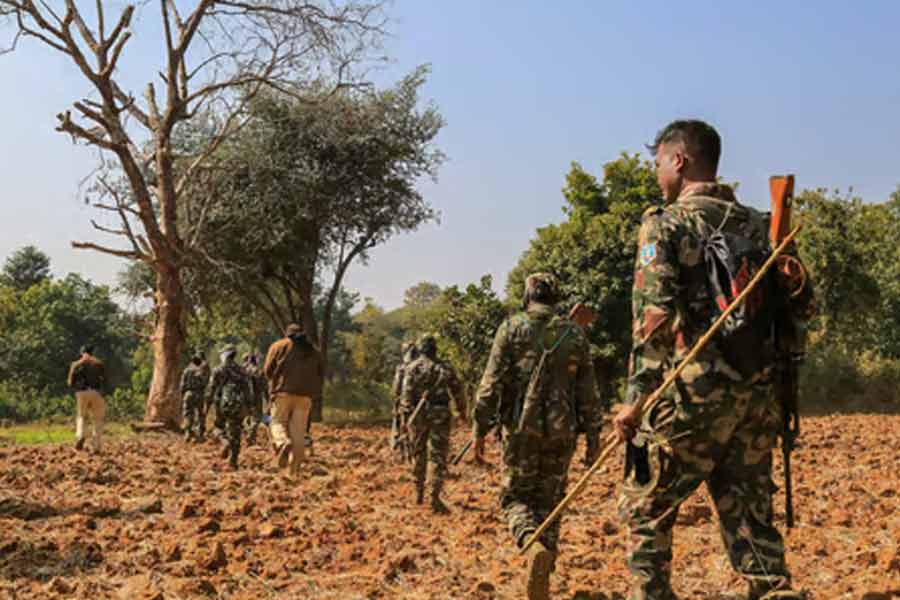 Seven Naxalites killed in Chhattisgarh