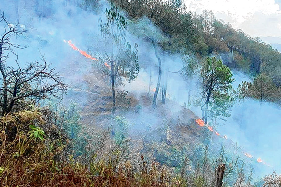 Temperature rises in Nainital, Almora