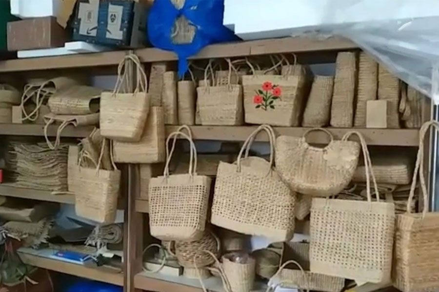 Bags are being made from Water hyacinths in Hooghly Bandel