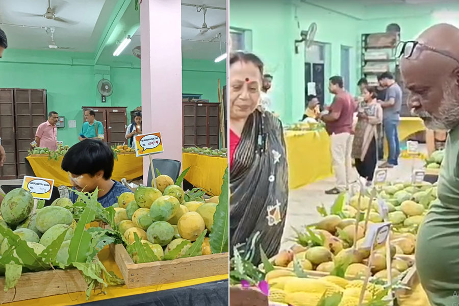 Mango festival in Hooghly