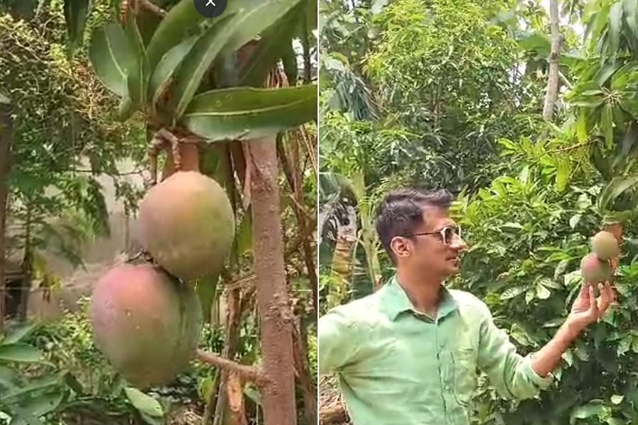 Hooghly man planted plants from different countries