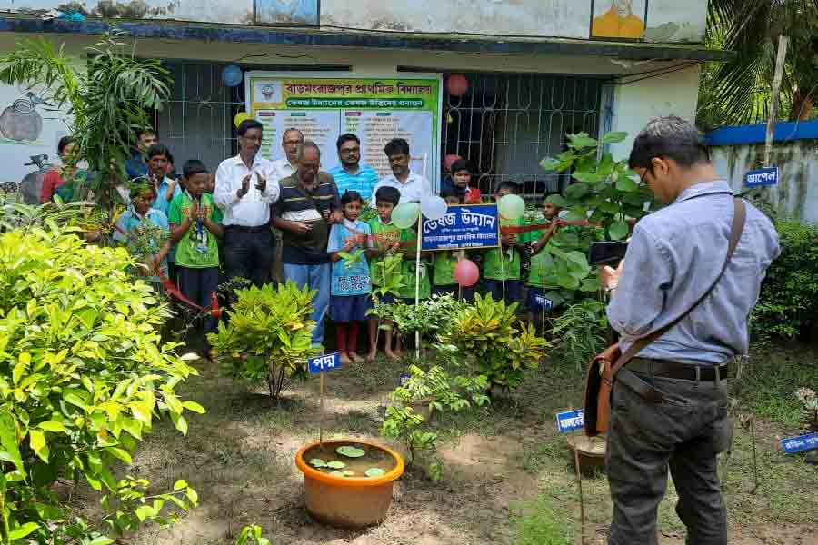 Ayurvedic garden in Howrah School